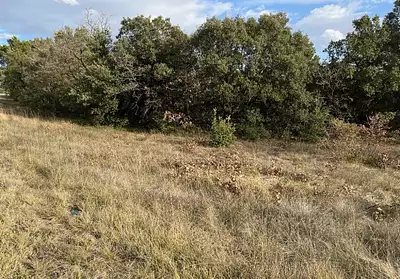 Terrain à bâtir, 750 m²