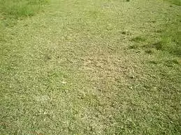 Terrain à bâtir, 590 m²