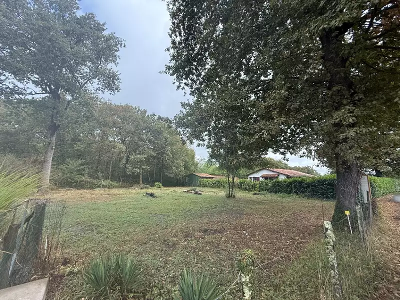 Terrain à bâtir, 720 m² - Saint-Selve (33650)