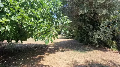 Terrain à bâtir, 581 m²