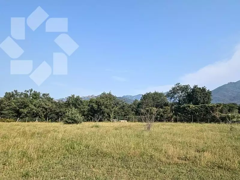 Maison neuve, 170 m² - Laroque-des-Albères (66740)