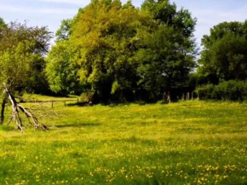 Terrain à bâtir, 448 m² - Notre-Dame-de-Monts (85690)