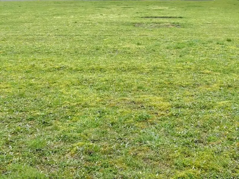 Terrain à bâtir, 760 m² - Nécy (61160)