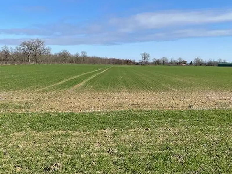Terrain à bâtir, 1 100 m² - Vitry-en-Charollais (71600)