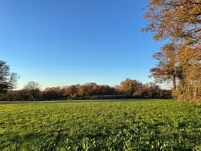 Terrain à bâtir, 655 m²