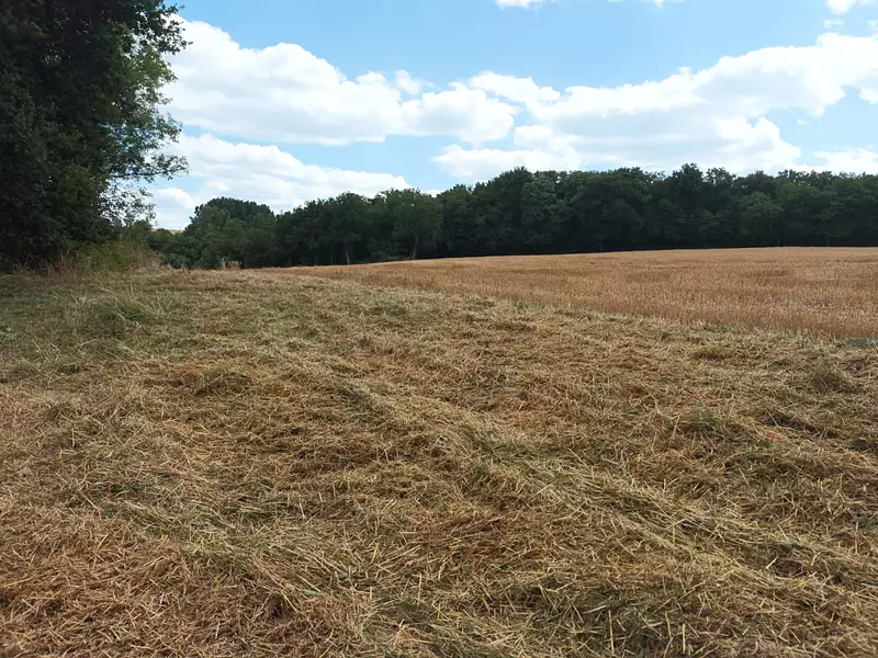 Terrain à bâtir, 3 340 m² - Douchapt (24350)