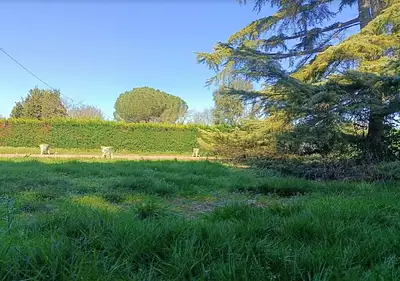 Terrain à bâtir, 455 m²