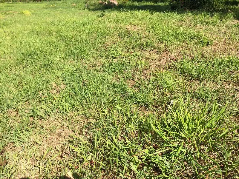 Terrain à bâtir, 315 m² - Grandchamps-des-Fontaines (44119)