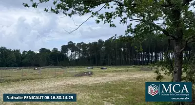 Terrain à bâtir, 555 m²