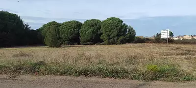 Terrain à bâtir, 350 m²