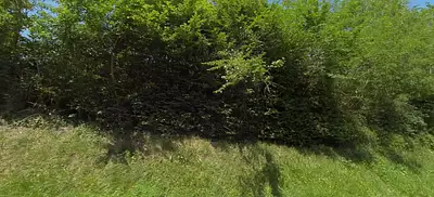 Terrain à bâtir, 1 251 m²