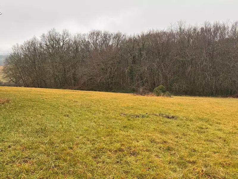 Terrain à bâtir, 1 800 m² - Sanilhac (24660)