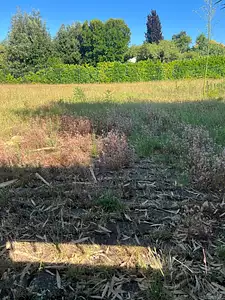 Maison neuve, 160 m²