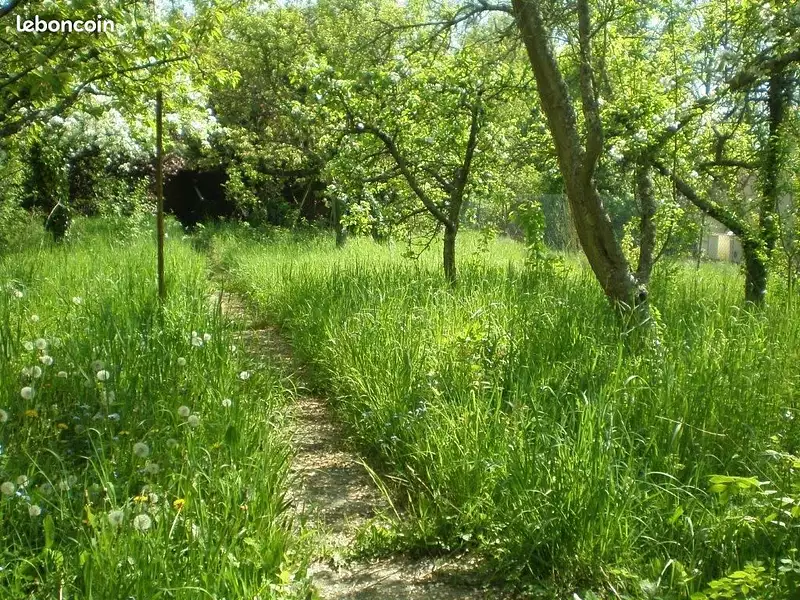 Terrain à bâtir, 2 000 m² - Saintry-sur-Seine (91250)