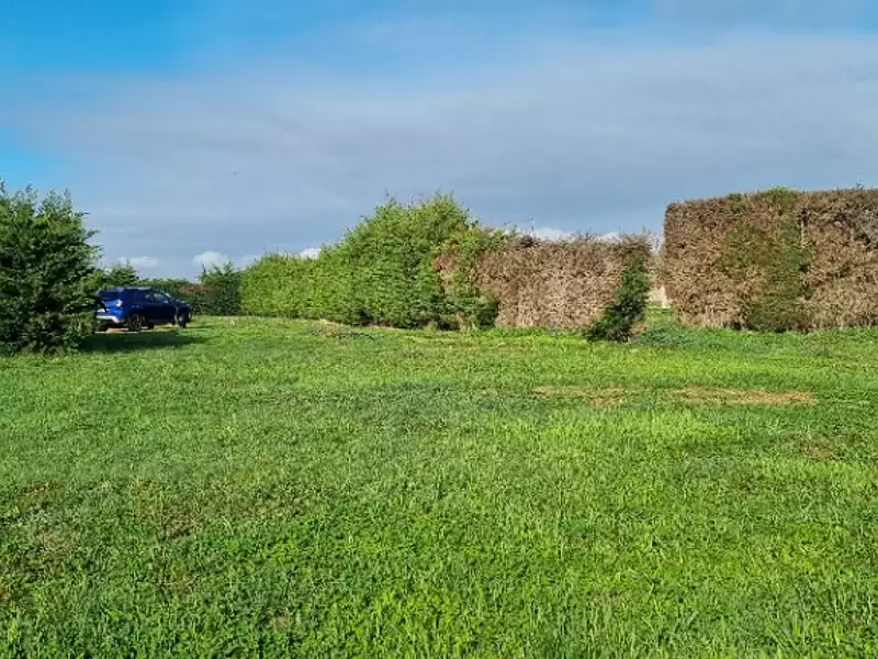 Terrain à bâtir, 916 m² - Lherm (31600)