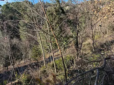 Maison neuve, 123 m²