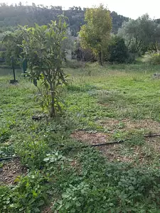 Terrain à bâtir, 491 m²