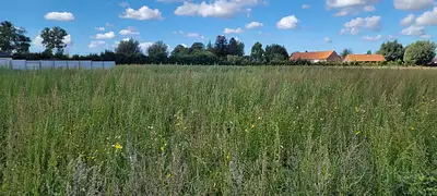 Maison neuve, 90 m²