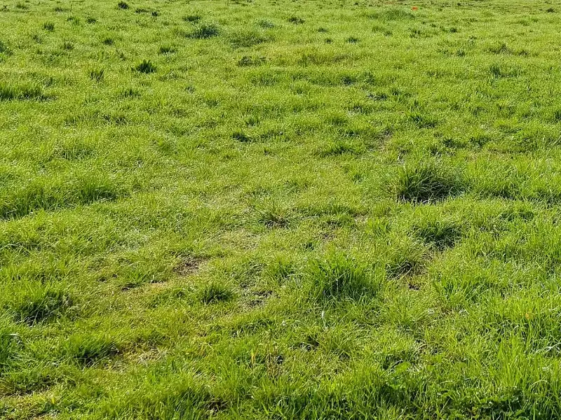 Terrain à bâtir, 570 m² - Pignans (83790)