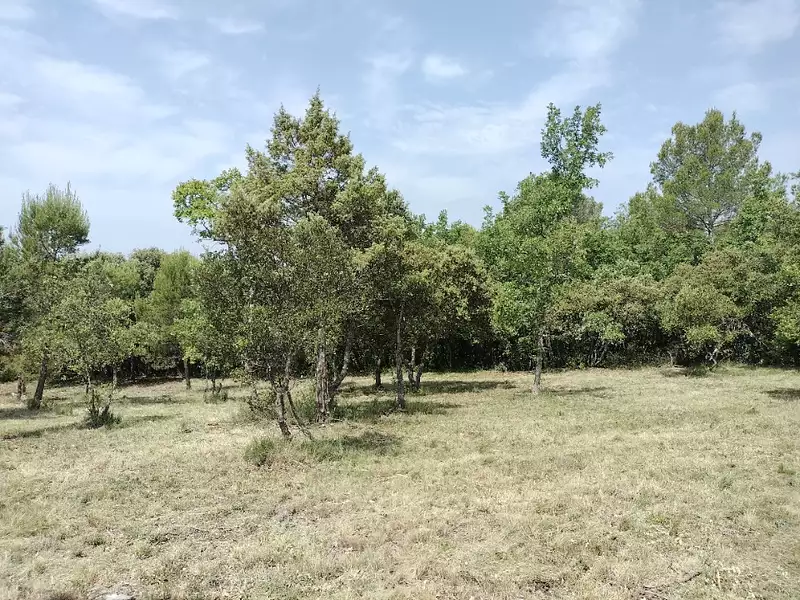 Maison neuve, 102 m² - Baudinard-sur-Verdon (83630)
