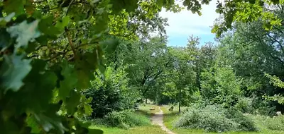 Maison neuve, 100 m²