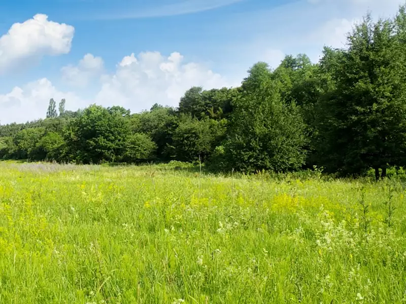 Maison neuve, 100 m² - Messanges (40660)
