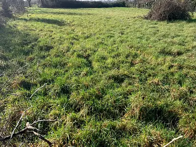 Maison neuve, 90 m²