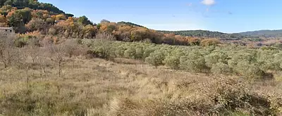 Terrain à bâtir, 310 m²