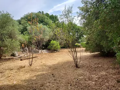 Terrain à bâtir, 970 m²