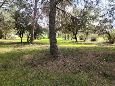 Maison neuve, 115 m²