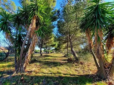 Maison neuve, 50 m²