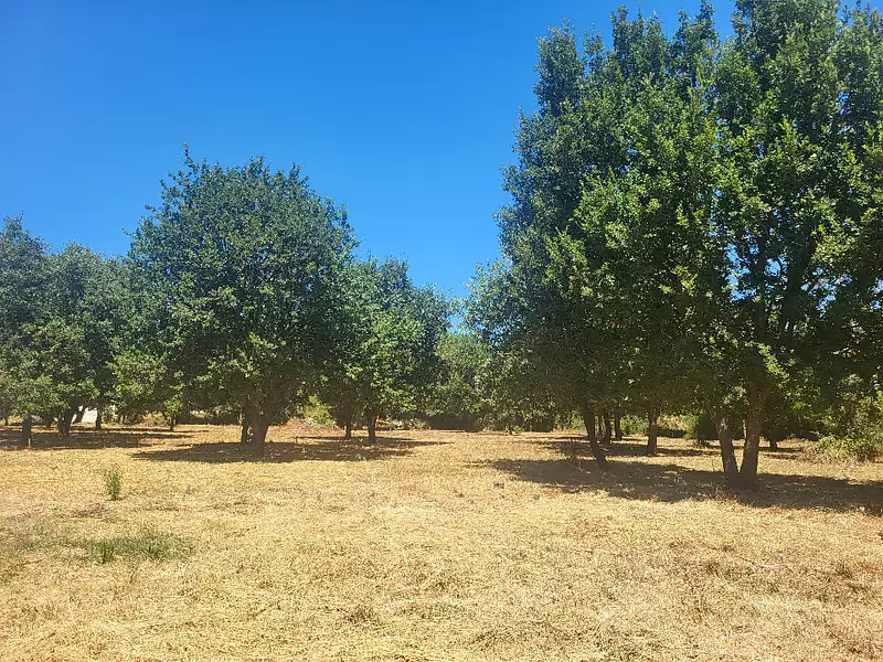 Terrain à bâtir, 273 m² - Montignargues (30190)