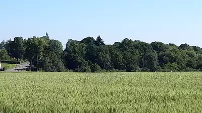 Maison neuve, 85 m²