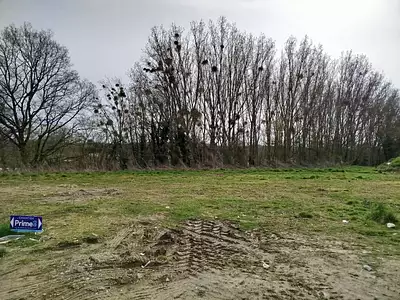 Terrain à bâtir, 455 m²