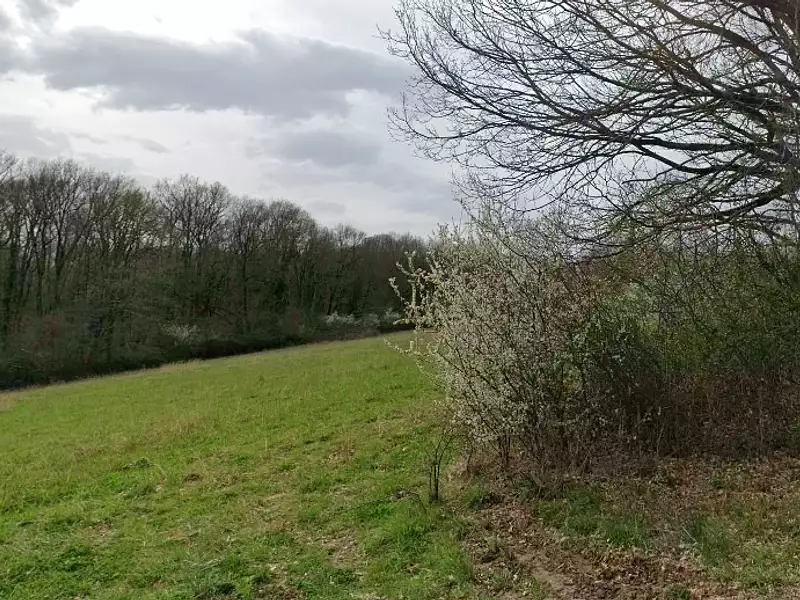 Maison neuve, 50 m² - Le Fousseret (31430)