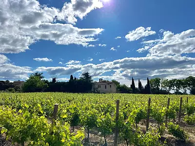 Terrain à bâtir, 1 000 m²