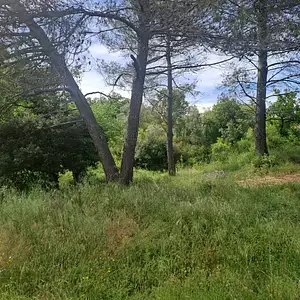 Terrain à bâtir, 296 m²