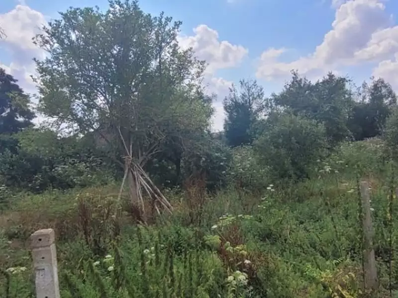 Maison neuve, 120 m² - Neauphlette (78980)