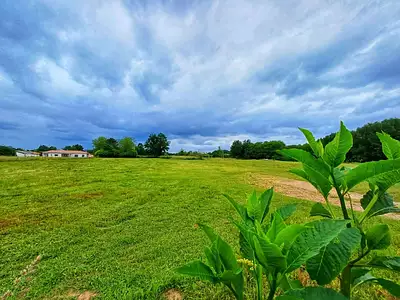 Maison neuve, 108 m²