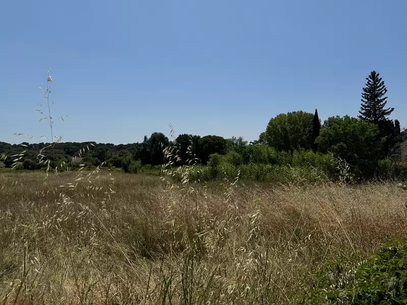 Maison neuve, 78 m² - Aubais (30250)