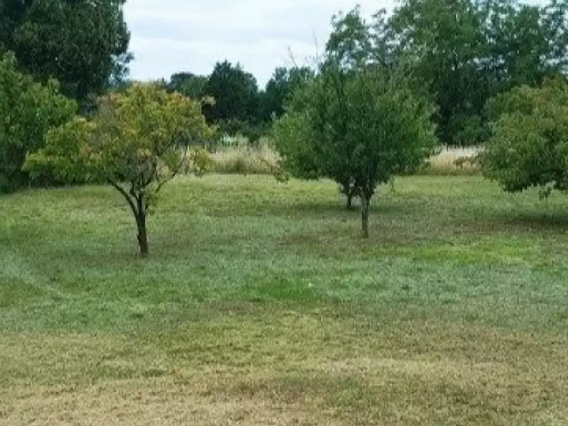 Terrain à bâtir, 1 373 m² - Les Bois d'Anjou (49250)