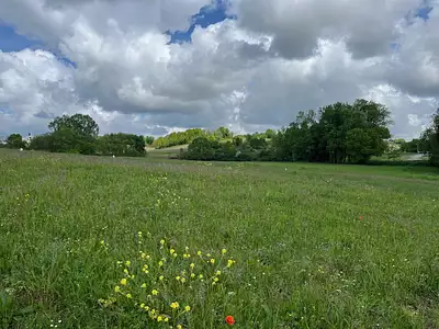 Terrain à bâtir, 581 m²