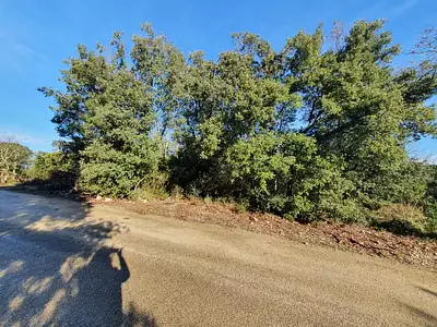 Maison neuve, 100 m²