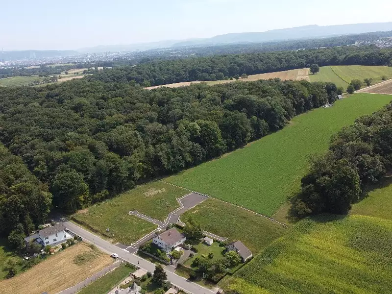 Rue de Saint-Louis - Wentzwiller (68220)