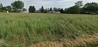 Terrain à bâtir, 2 400 m²