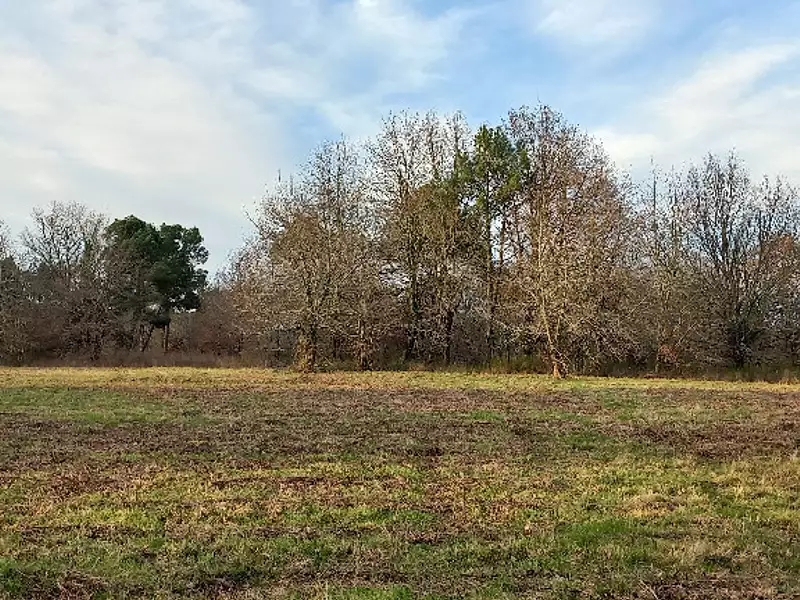 Terrain à bâtir, 11 830 m² - Saint-Laurent-des-Hommes (24400)