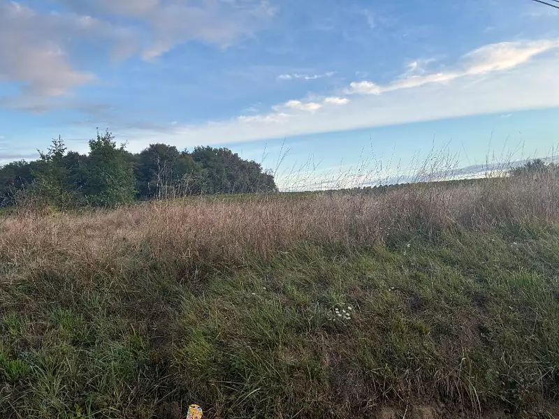 Terrain à bâtir, 1 000 m² - La Réole (33190)