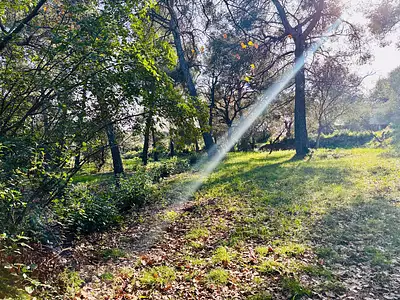 Terrain à bâtir, 540 m²