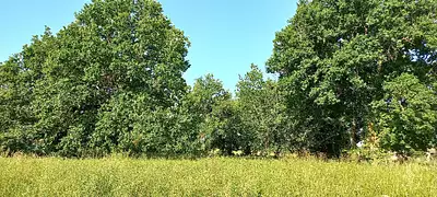 Terrain à bâtir, 3 300 m²