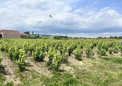 Maison neuve, 114 m²